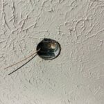 Ceiling Fan Installation and Electrical Troubleshooting in Duluth, GA ceiling fan installation and electrical troubleshooting in duluth, ga 3